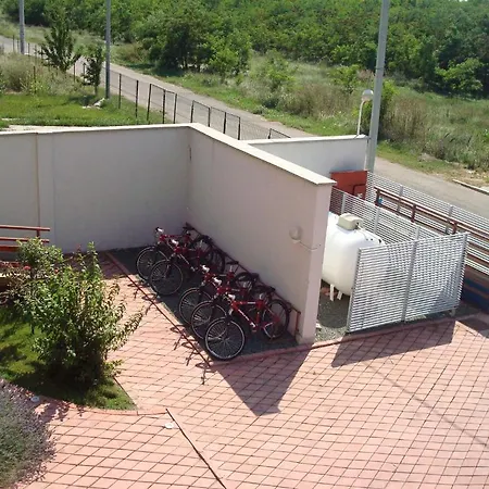 Oasis